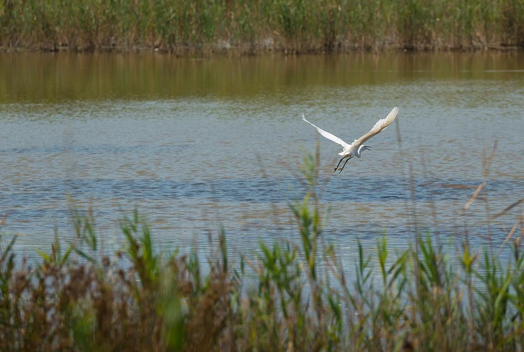 Valgrande Bibione Casone Villa Bagian luar foto