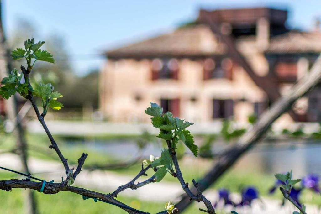 Valgrande Bibione Casone Villa Bagian luar foto